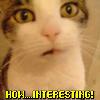 morgandawn: (Cat How... Interesting!)