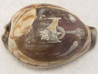 Top view of Cowrie shell etched with Romulan Ship: Purchased by J. Wenk at a Star Trek convention circa 1976. Artist is unknown. (MsC1031)